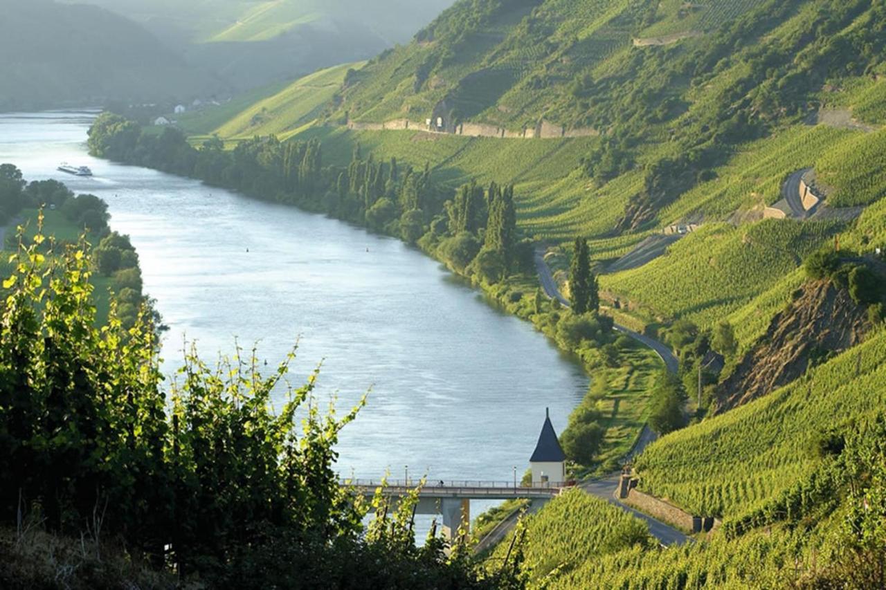 تريتينييم Weingut & Gaestehaus Christoph Cluesserath المظهر الخارجي الصورة