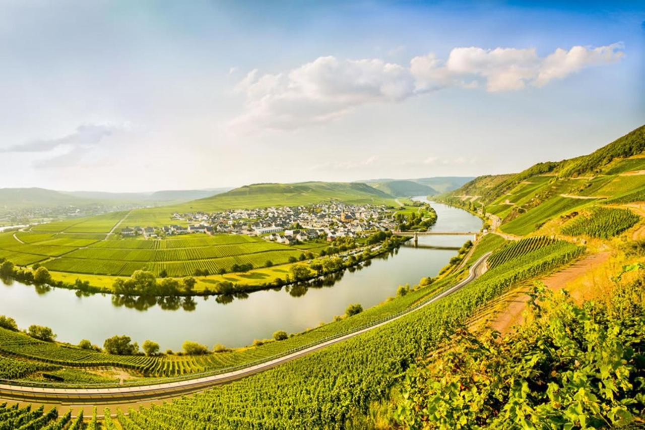 تريتينييم Weingut & Gaestehaus Christoph Cluesserath المظهر الخارجي الصورة