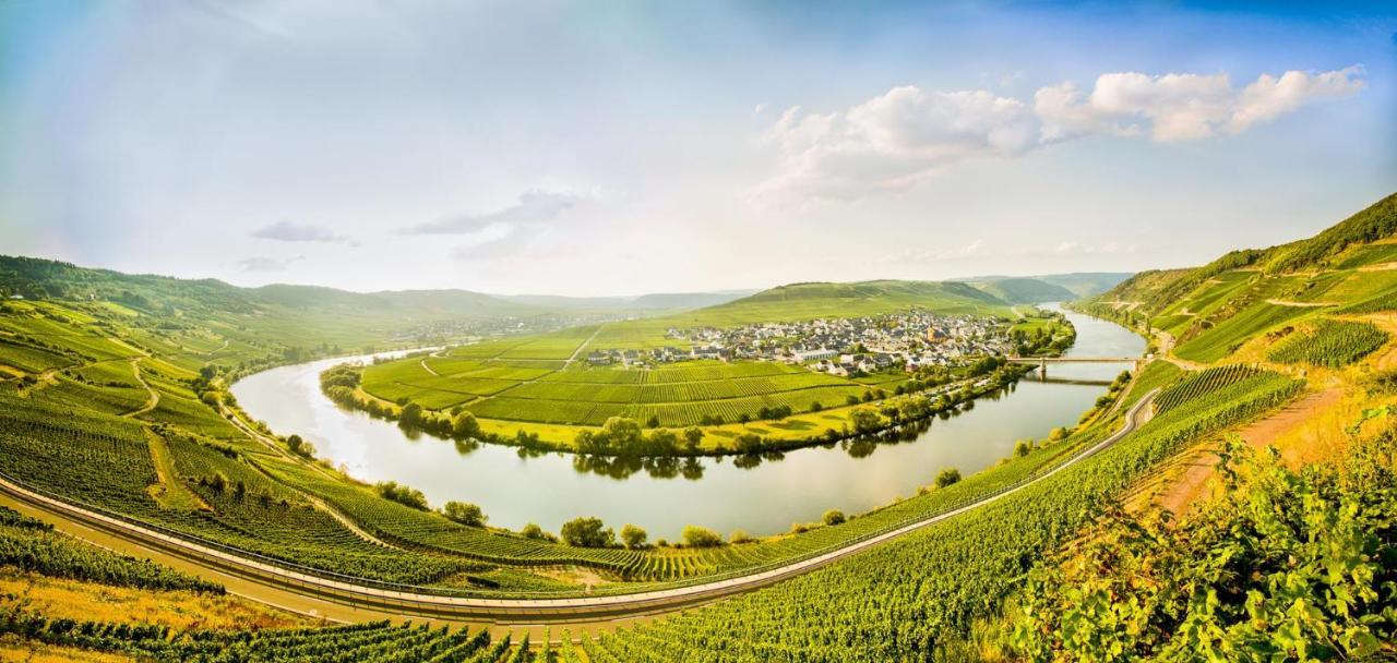 تريتينييم Weingut & Gaestehaus Christoph Cluesserath المظهر الخارجي الصورة