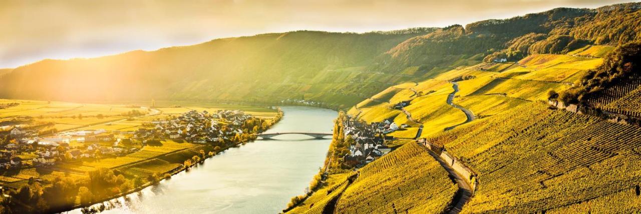 تريتينييم Weingut & Gaestehaus Christoph Cluesserath المظهر الخارجي الصورة
