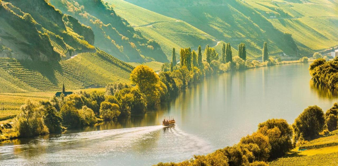 تريتينييم Weingut & Gaestehaus Christoph Cluesserath المظهر الخارجي الصورة