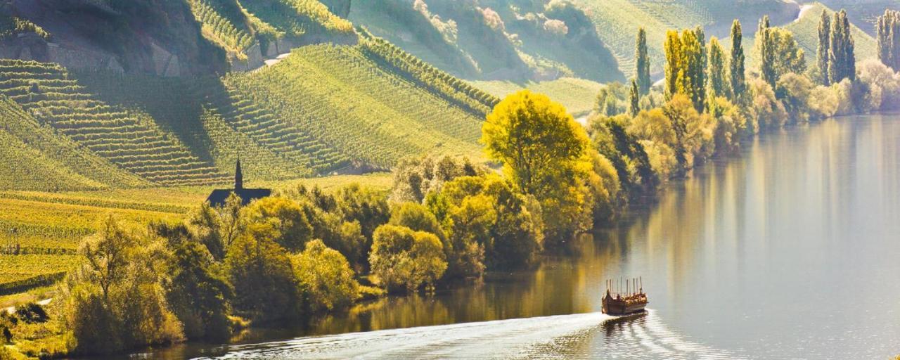 تريتينييم Weingut & Gaestehaus Christoph Cluesserath المظهر الخارجي الصورة